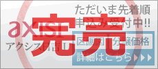 �A�N�V�X���g�T�̏ڍׂ͂�����